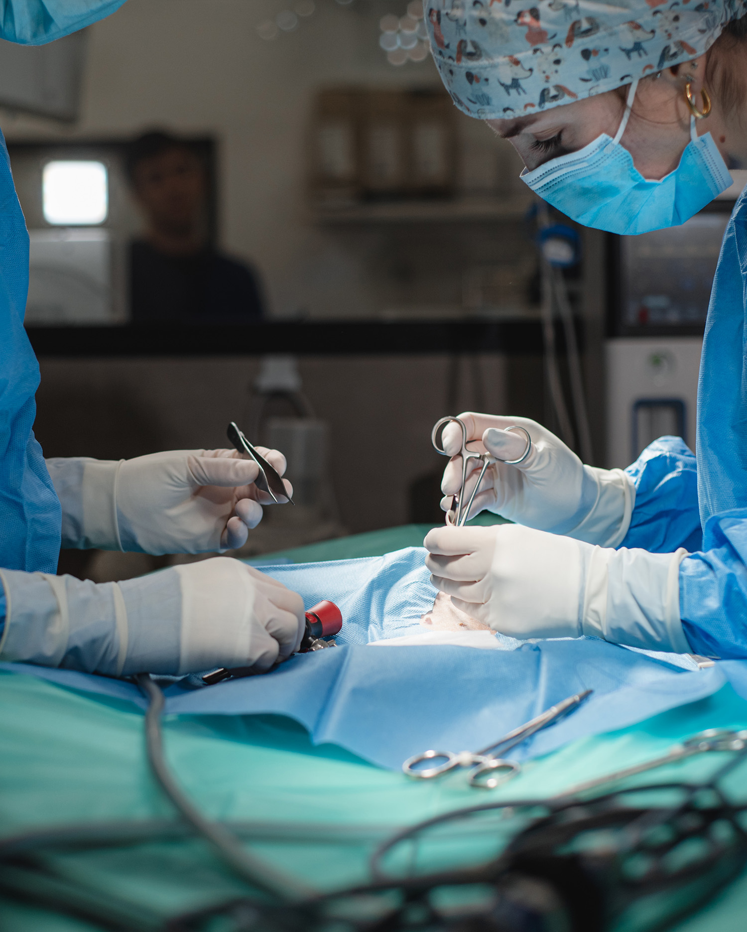 Cirugia general y especializada_clinica veterinaria_valencia_001