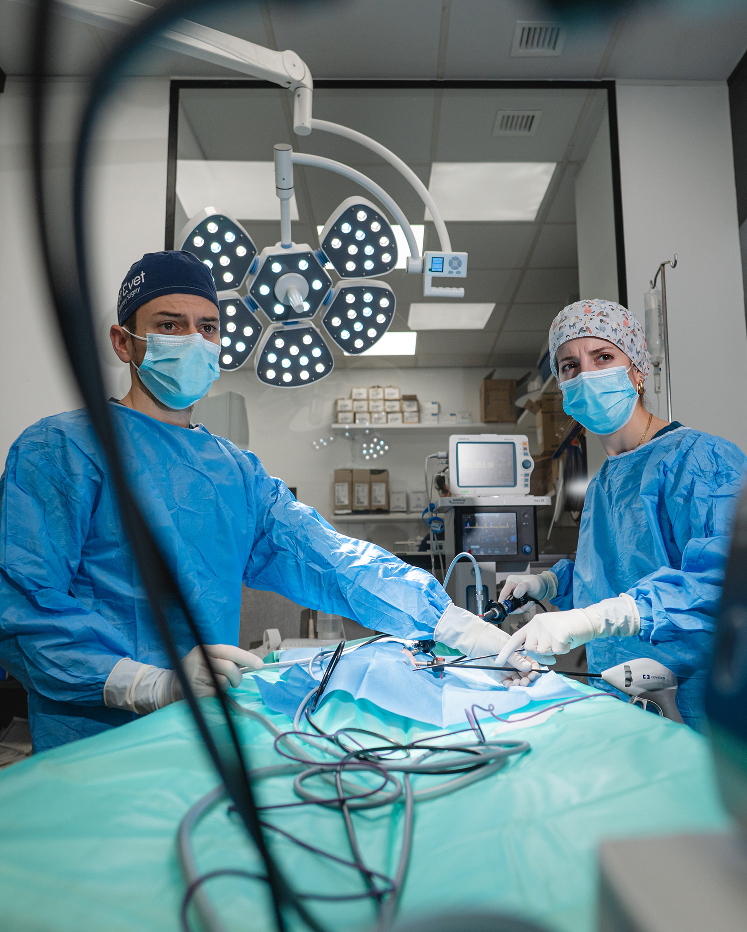 Cirugia general y especializada_clinica veterinaria_valencia_002