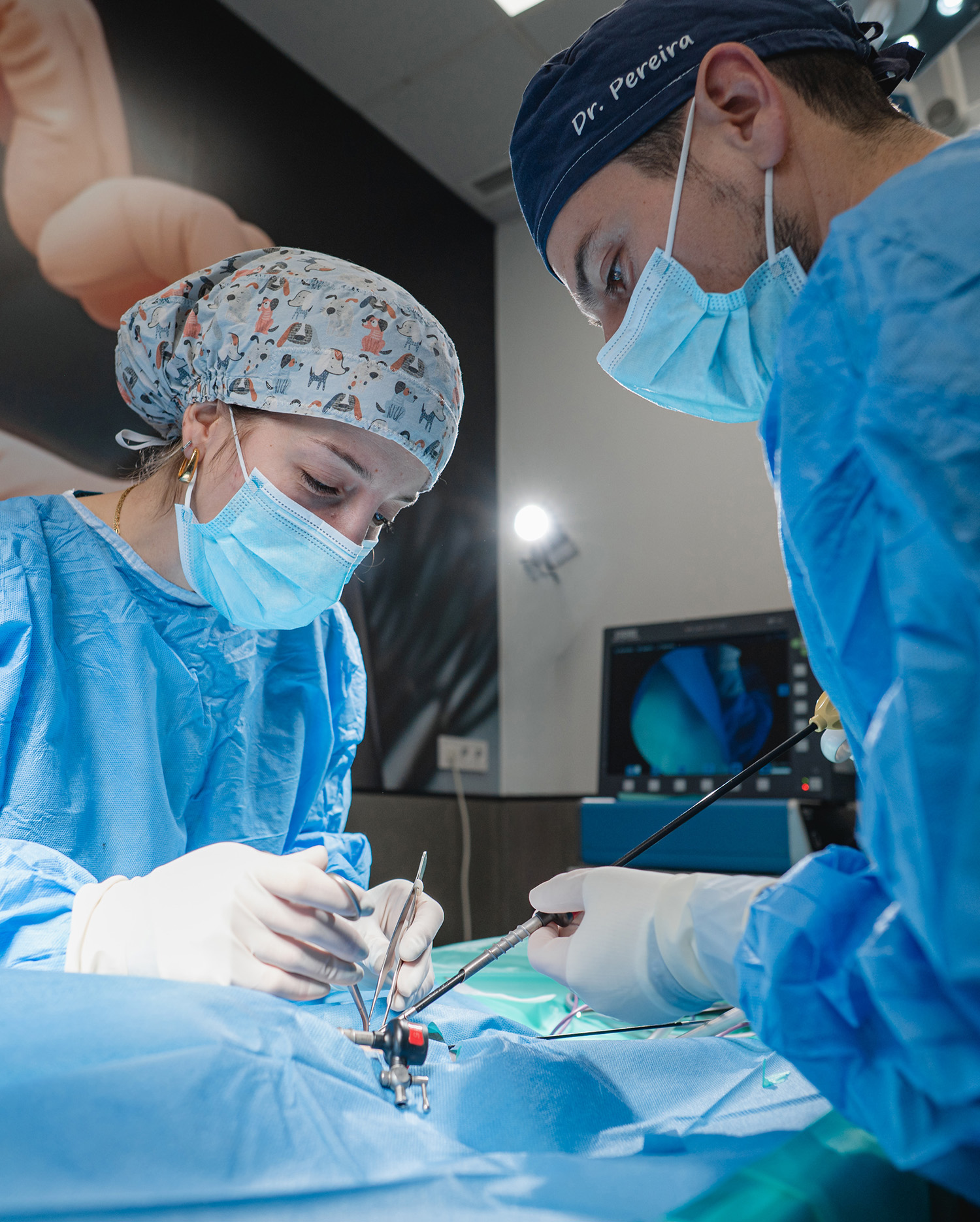 Cirugia general y especializada_clinica veterinaria_valencia_003