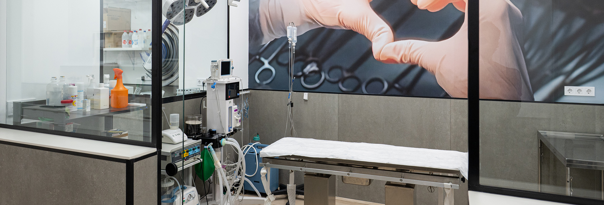 Golevet_clinica_veterinaria_valencia_001