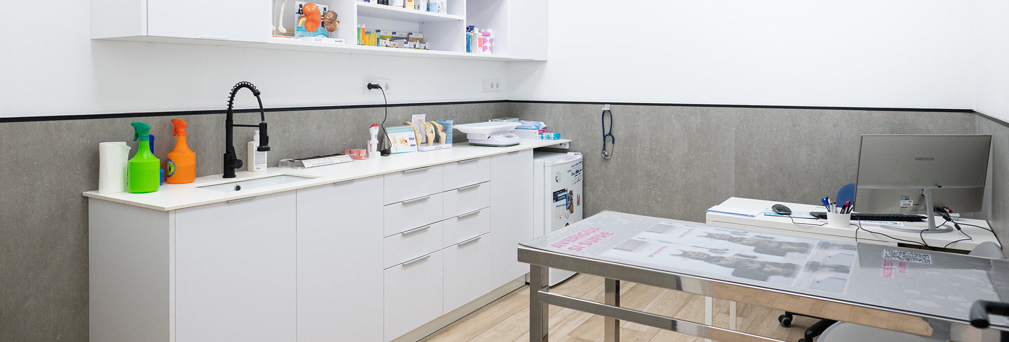 Golevet_clinica_veterinaria_valencia_002