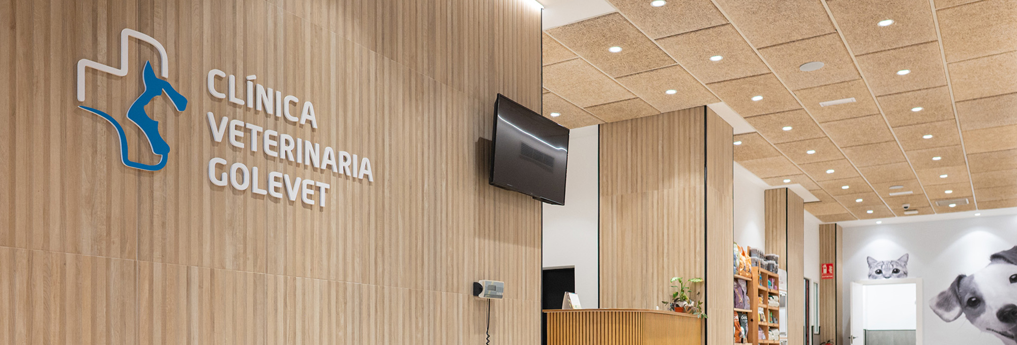 Golevet_clinica_veterinaria_valencia_003