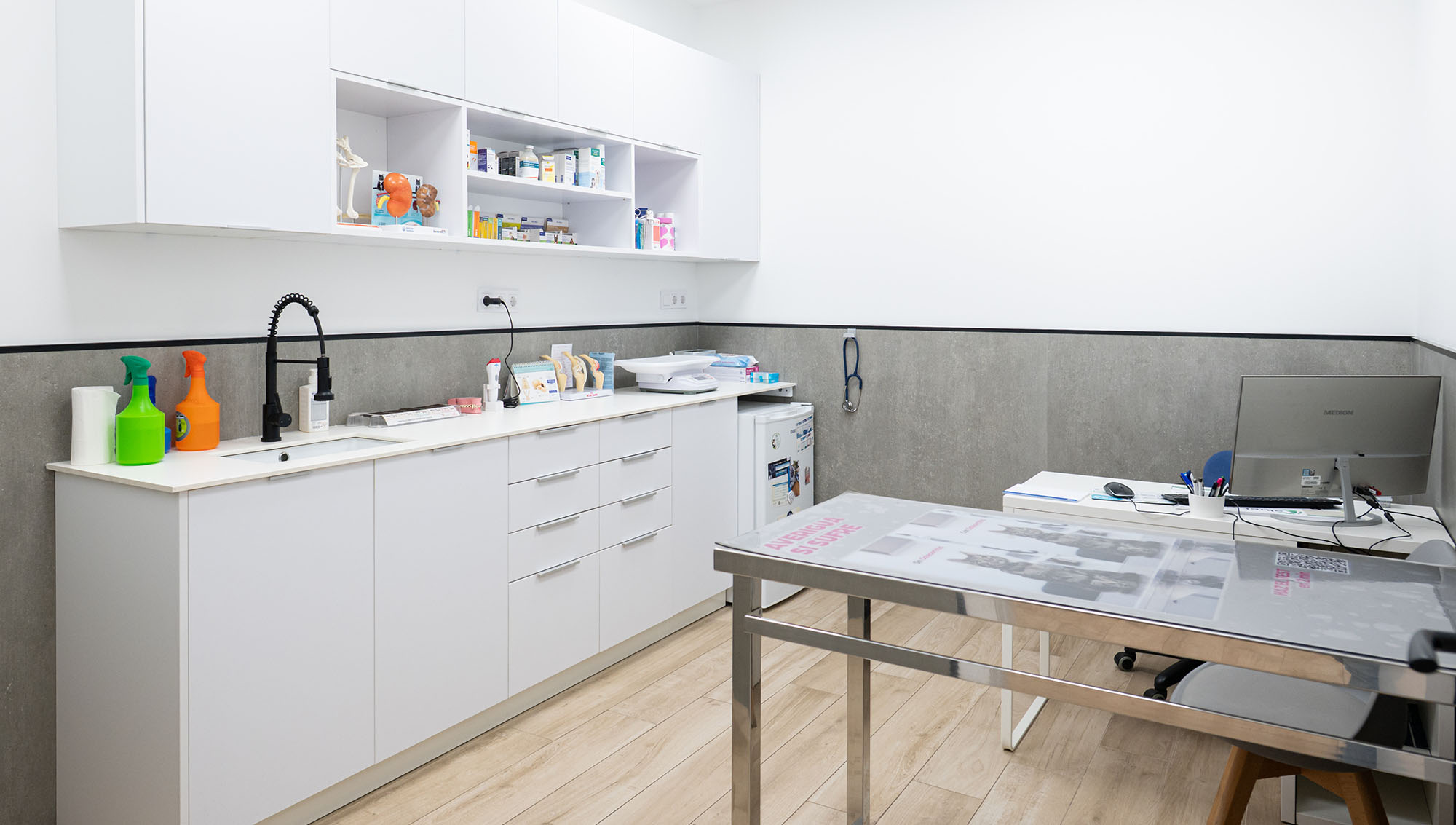 Golevet_clinica_veterinaria_valencia_003_mov