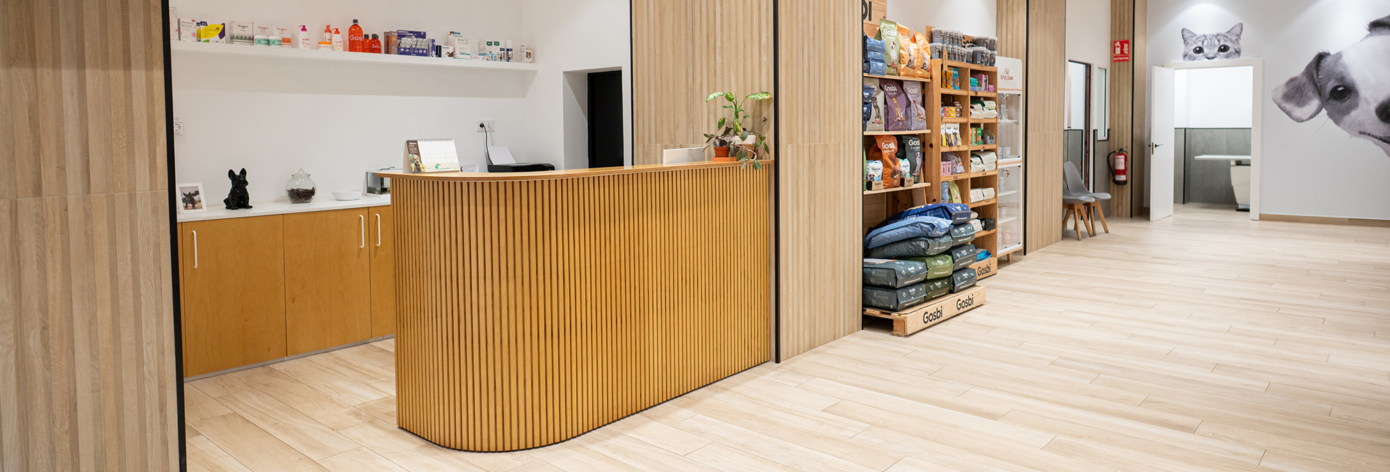 Golevet_clinica_veterinaria_valencia_004