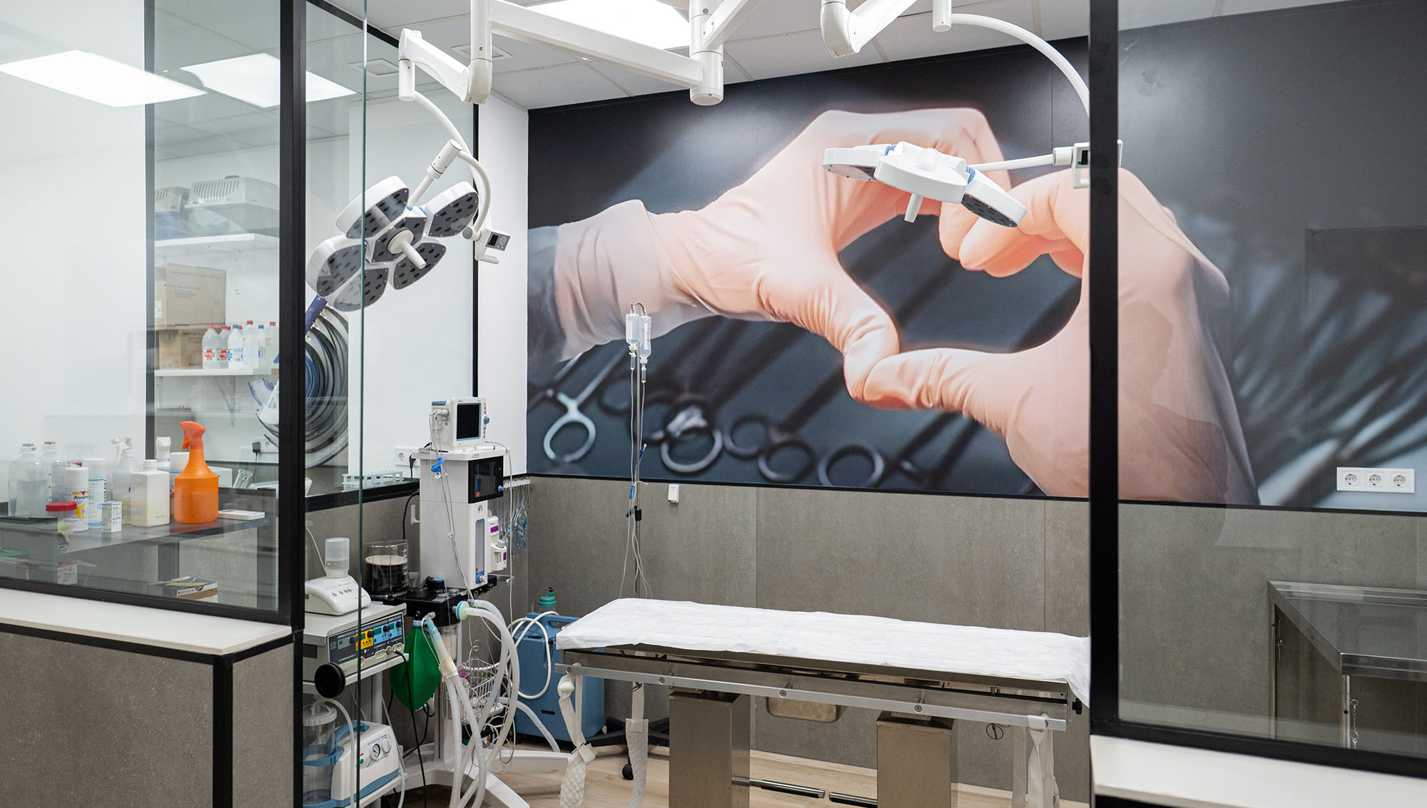 Golevet_clinica_veterinaria_valencia_004_mov