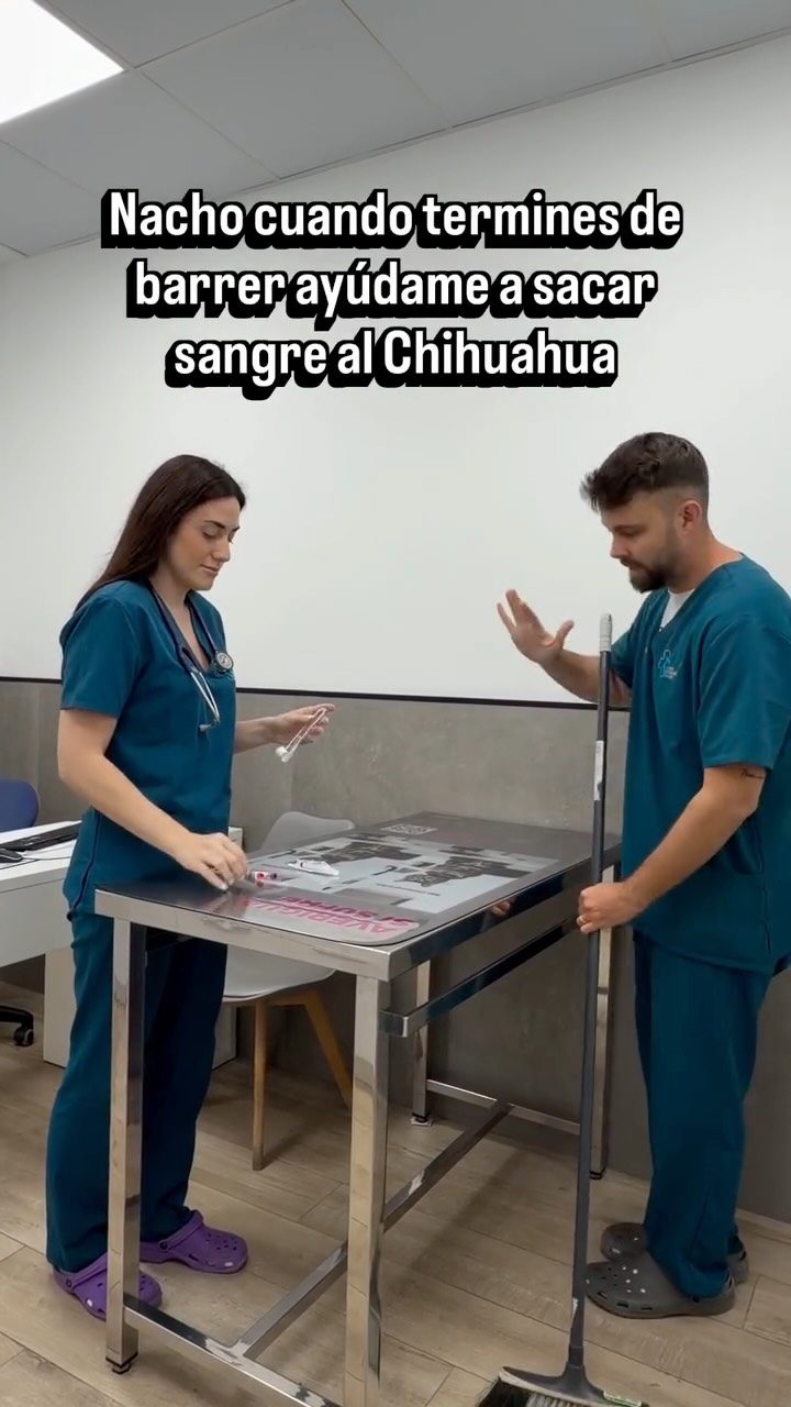 Instagram post from clinicaveterinariagolevet. This post is in position 1.