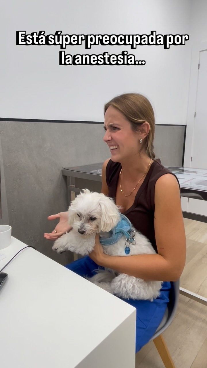 Instagram post from clinicaveterinariagolevet. This post is in position 4.