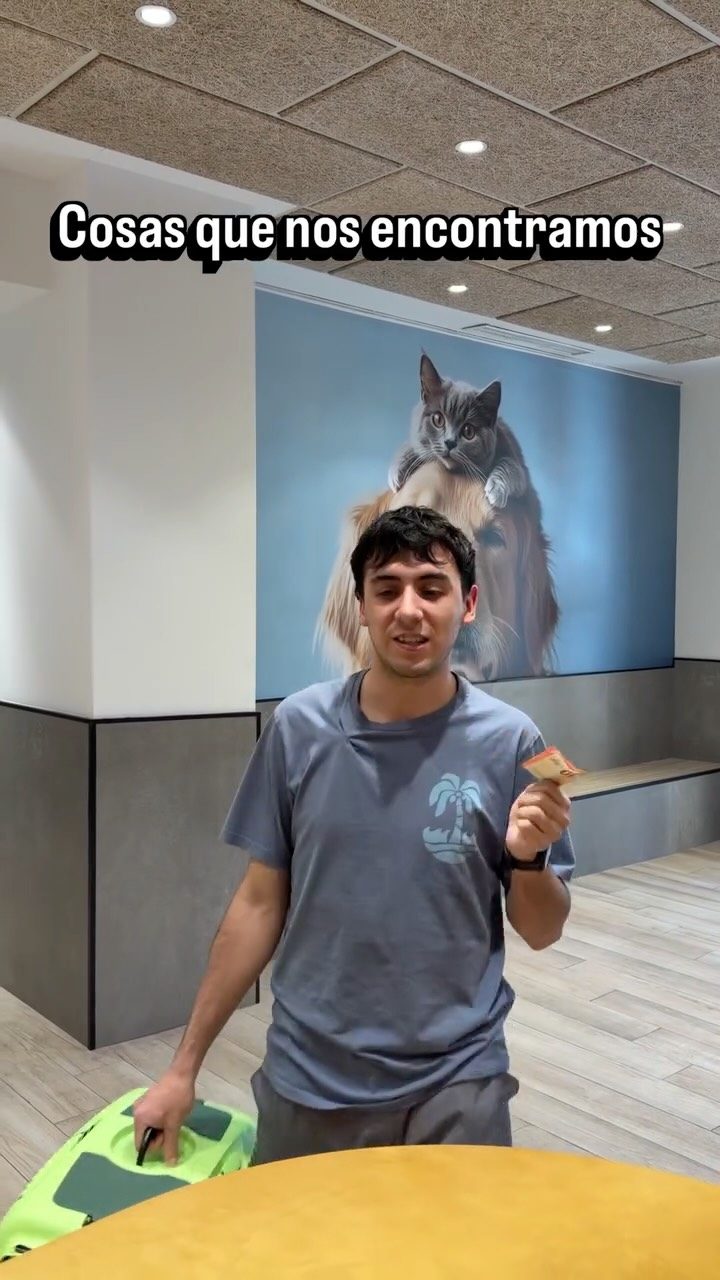 Instagram post from clinicaveterinariagolevet. This post is in position 6.