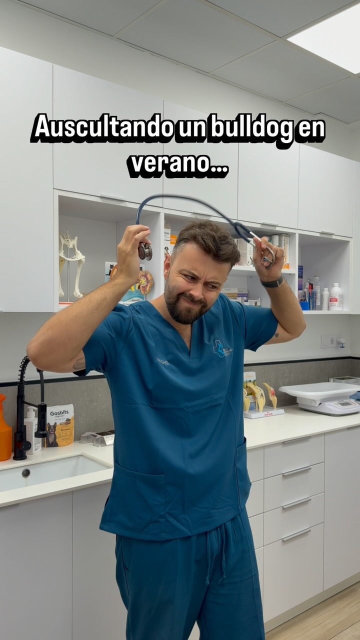 Instagram post from clinicaveterinariagolevet. This post is in position 3.