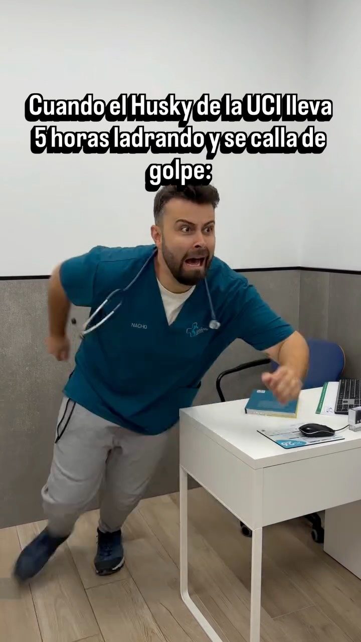 Instagram post from clinicaveterinariagolevet. This post is in position 1.