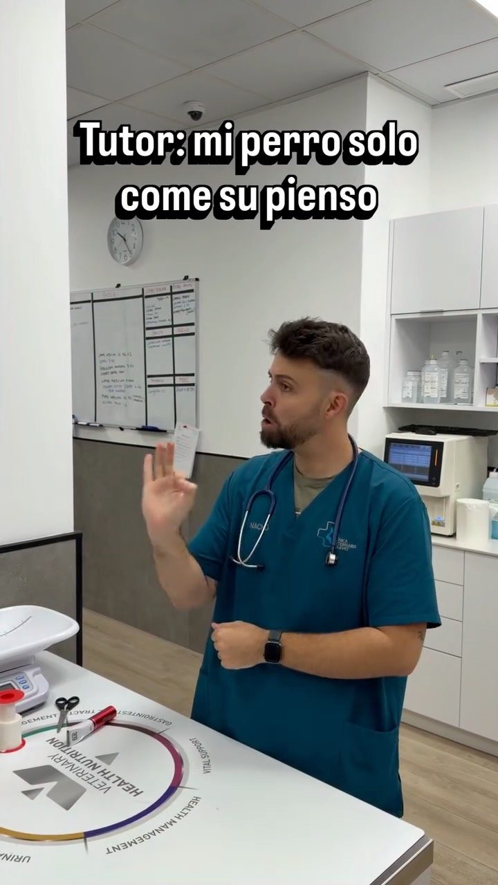Instagram post from clinicaveterinariagolevet. This post is in position 7.