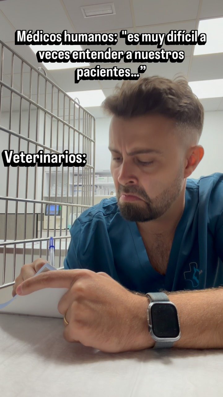 Instagram post from clinicaveterinariagolevet. This post is in position 8.