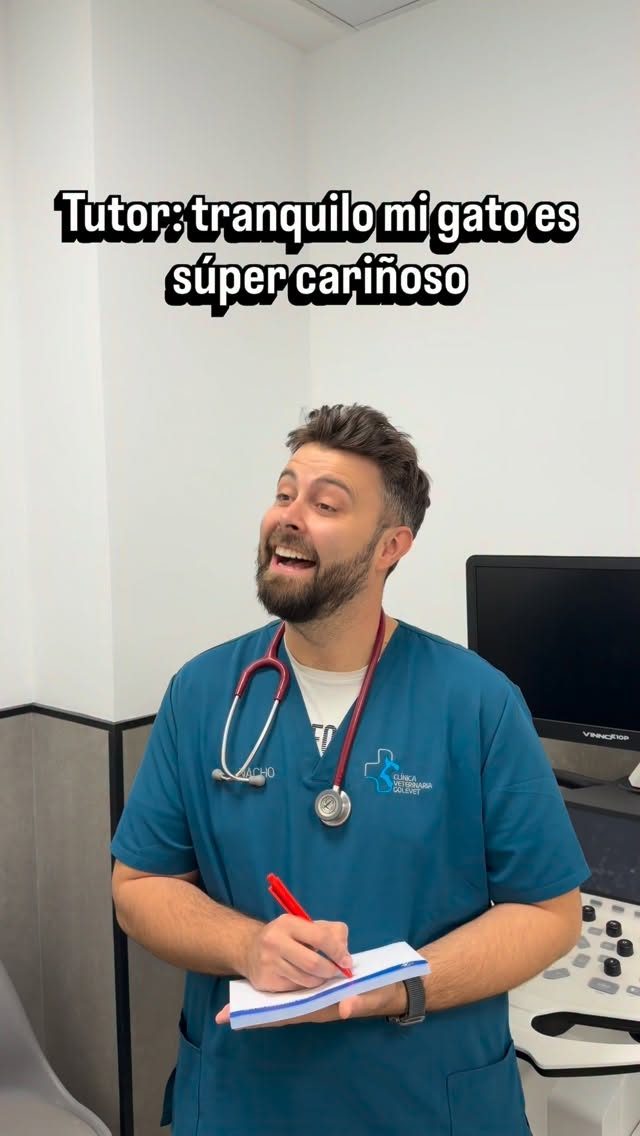 Instagram post from clinicaveterinariagolevet. This post is in position 5.