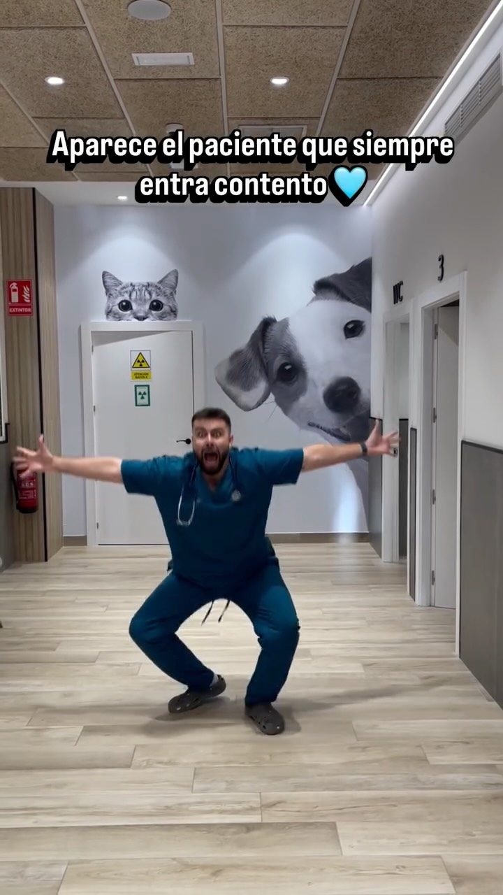 Instagram post from clinicaveterinariagolevet. This post is in position 1.