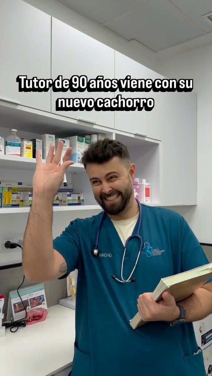 Instagram post from clinicaveterinariagolevet. This post is in position 10.