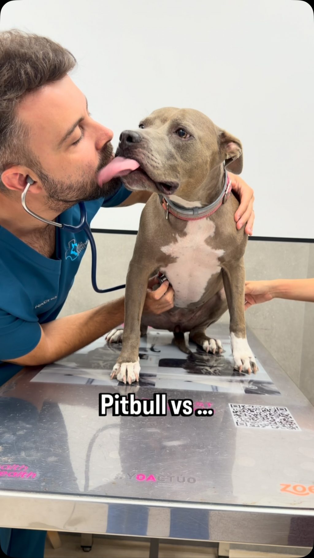 Instagram post from clinicaveterinariagolevet. This post is in position 2.