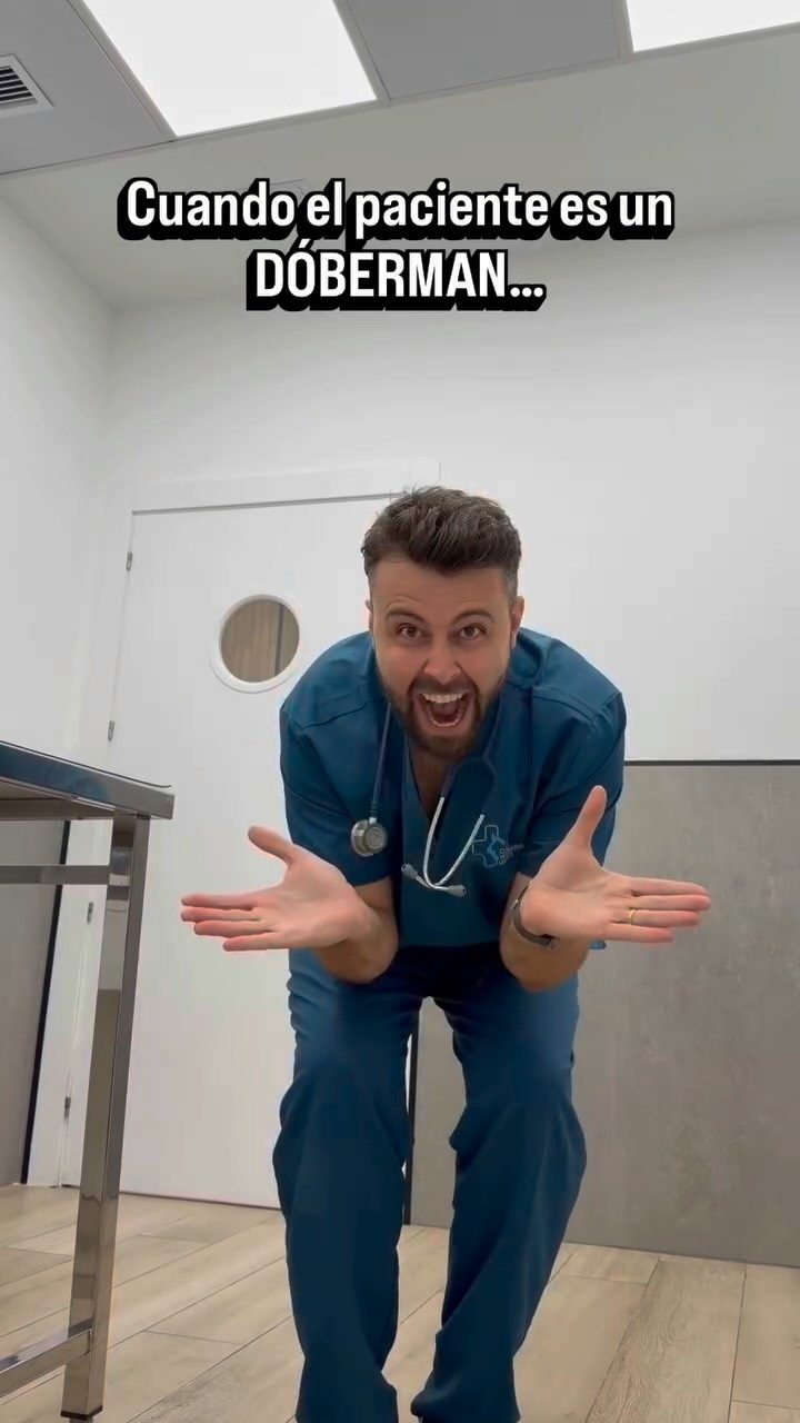 Instagram post from clinicaveterinariagolevet. This post is in position 2.