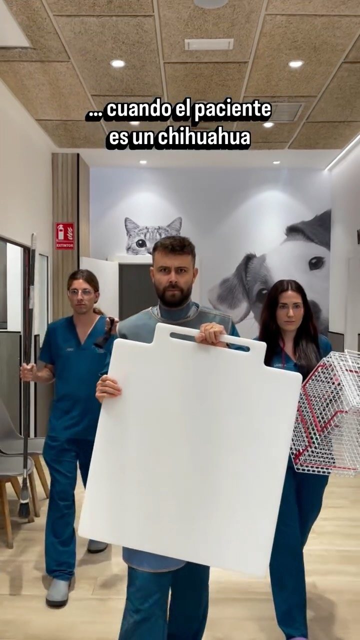 Instagram post from clinicaveterinariagolevet. This post is in position 6.