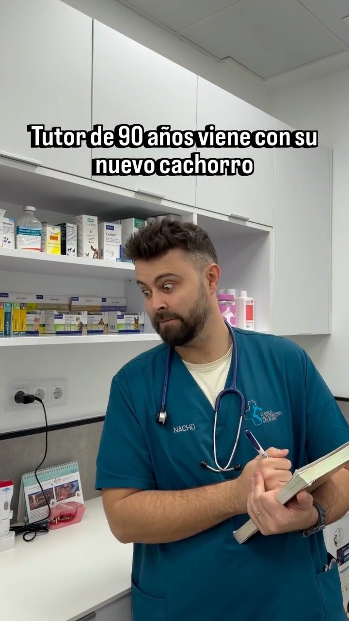 Instagram post from clinicaveterinariagolevet. This post is in position 2.
