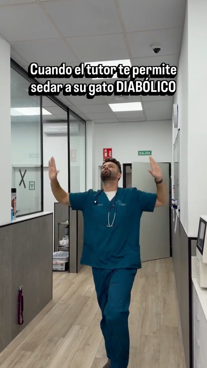 Instagram post from clinicaveterinariagolevet. This post is in position 7.