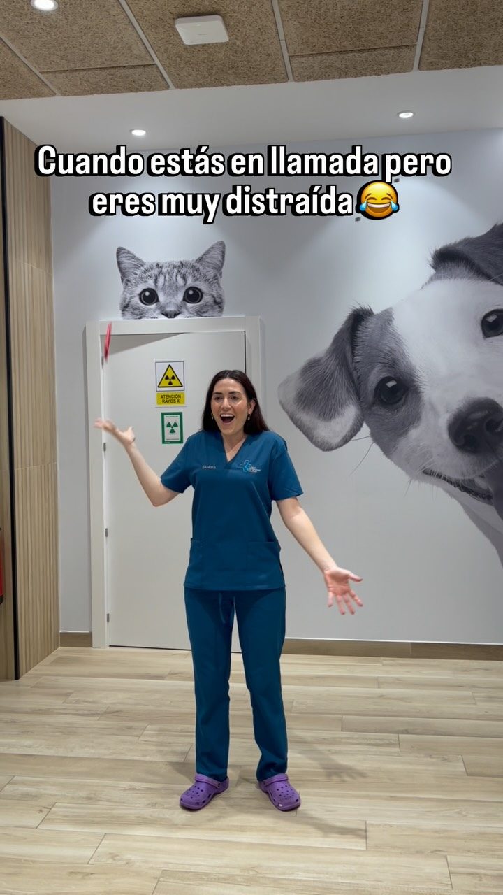 Instagram post from clinicaveterinariagolevet. This post is in position 4.