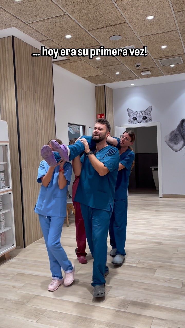 Instagram post from clinicaveterinariagolevet. This post is in position 3.